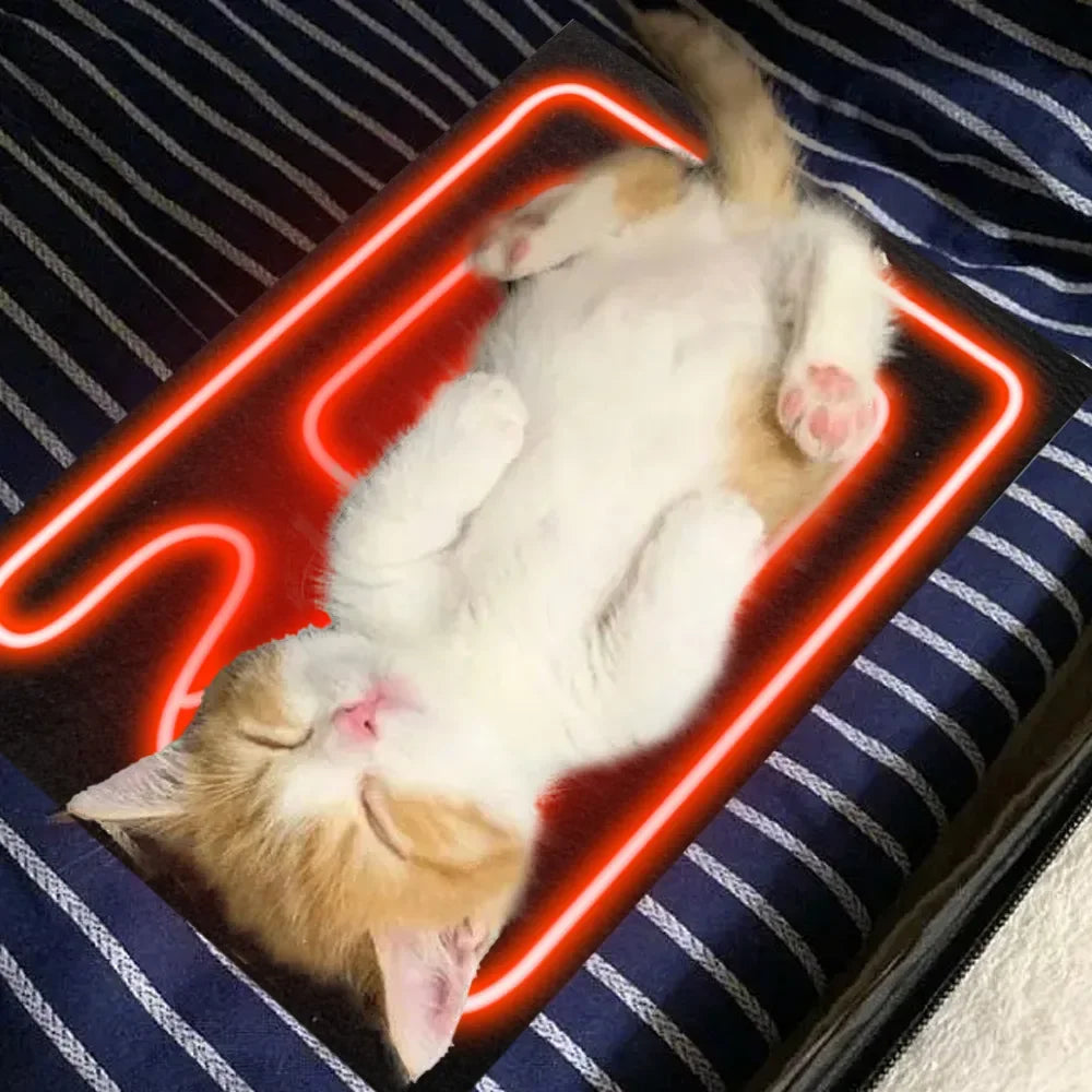 S13a31f02a271482a86428c06e7af3787g