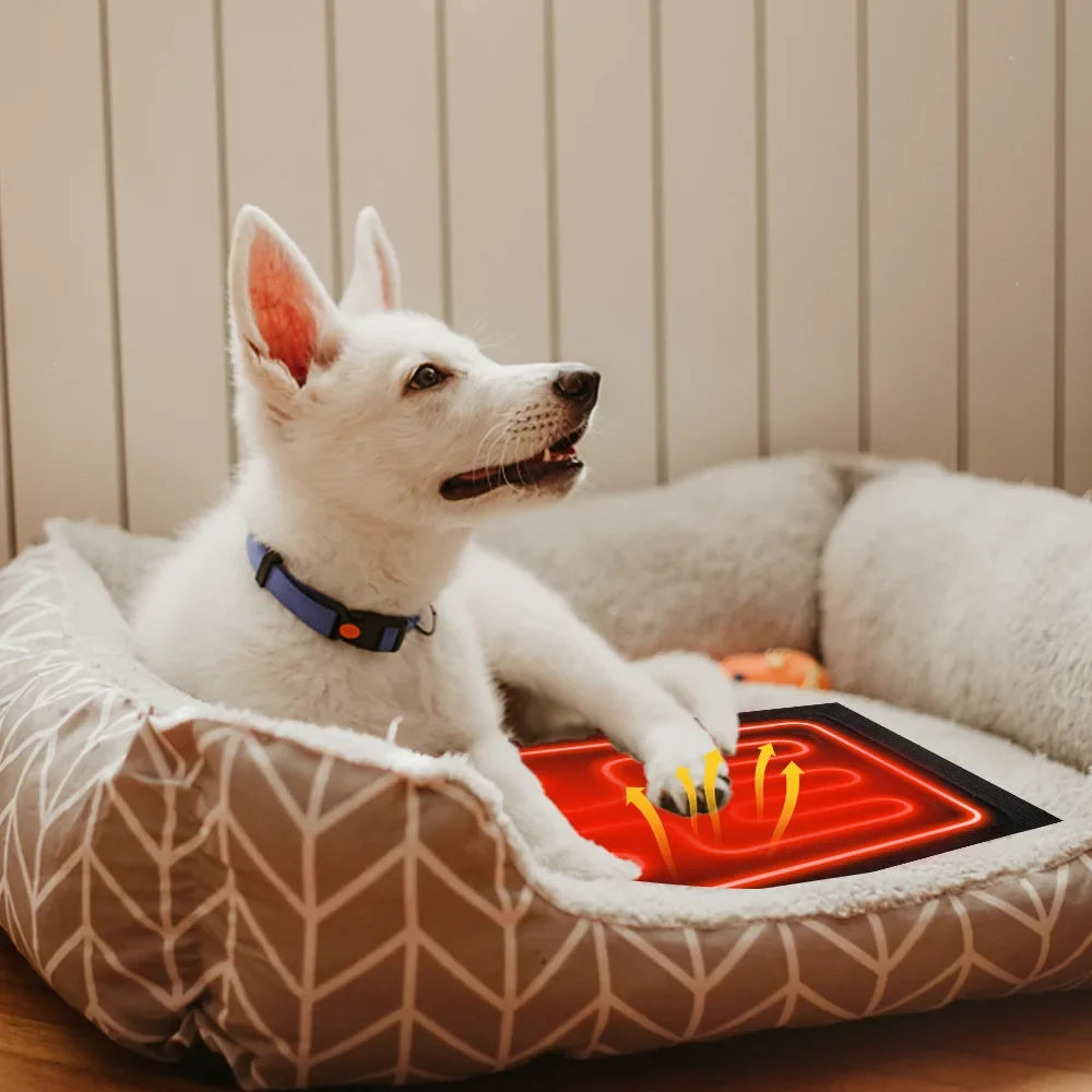 S7e90234441284ebc9dc70e7c5deef388q